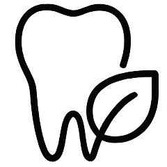 slow-dentistry - Dr. Spandanas Dentistry - Dr. Spandanas Dentistry Outline of a tooth with a leaf, symbolizing eco-friendly dental care